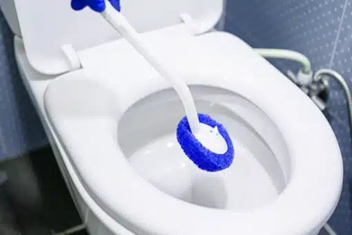 Deep Toilet Cleaning Melbourne